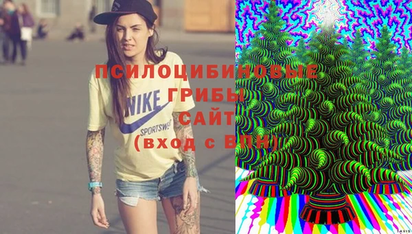 гидропоника Алексеевка